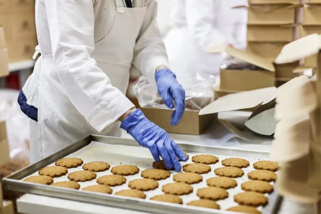 FOODSAFETYUMANUFACT2